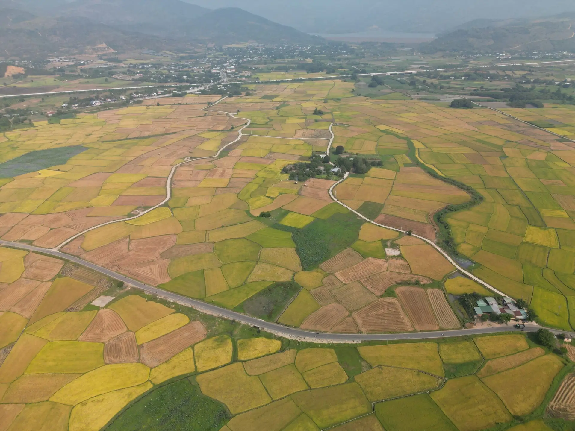 Aerial shot showcasing vibrant rice fields in Vietnam, highlighting agricultural landscapes.
